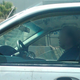 Illustration for article titled Dan Smith Will Teach You Guitar... In A Car